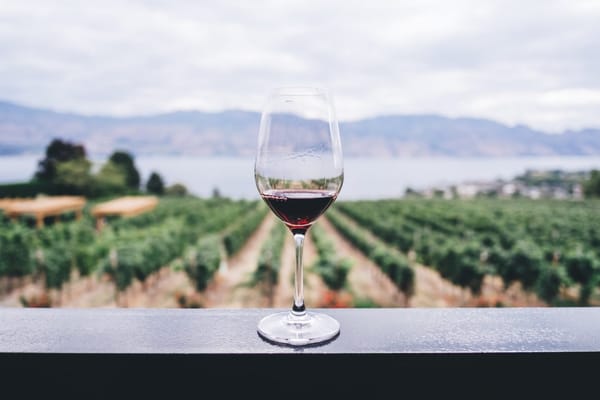 Geographical Indications: Piggy-backing prohibited